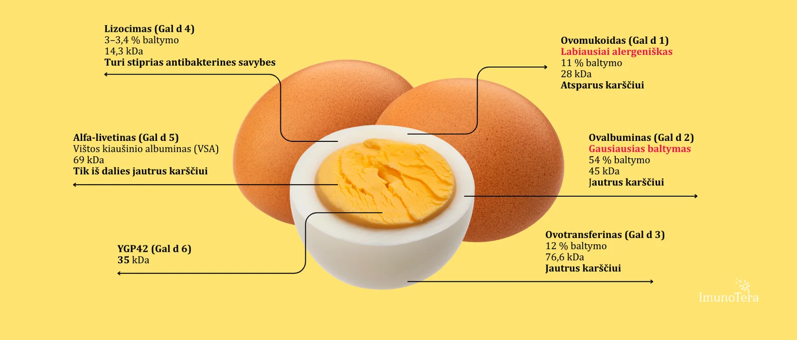 Kiaušinio alergenai - kas sukelia alergiją kiaušiniui